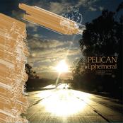 Geometry Of Murder by Pelican