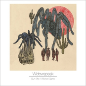 Widowspeak: Gun Shy