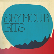 Put It Back Down by Seymour Bits
