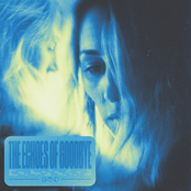 The Echoes of Goodbye