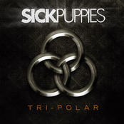 Riptide by Sick Puppies