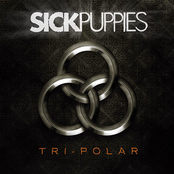 I Hate You by Sick Puppies