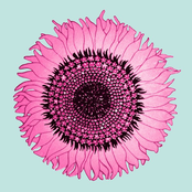 Colored Lights: I Used to Cook