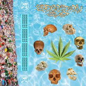 False Grind Prophets