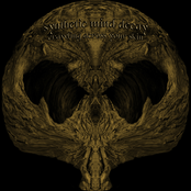 Crawling Across Your Skin