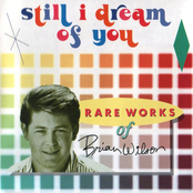 Still I Dream of You: Rare Works of Brian Wilson
