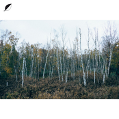 Christian Loeffler: Haul