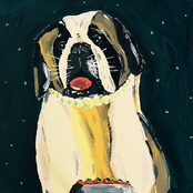 Strawberry,Gun,St.Bernard