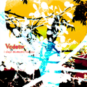 I Slept Moments for You