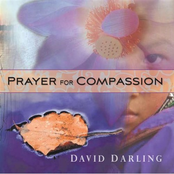 When We Forgive by David Darling