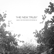 Chill The Fuck Out by The New Trust