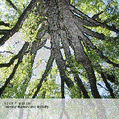 Between Memory and Mortality