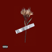 What Happened To You?