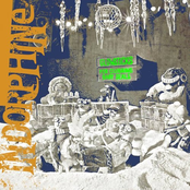 Indorphine: Glowsticks for Clubbing Baby Seals