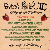Sweet Relief II: Gravity Of The Situation (The Songs Of Vic Chesnutt)