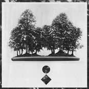 Salimos de la Tierra (2011)