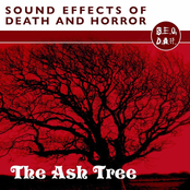 The Ash Tree