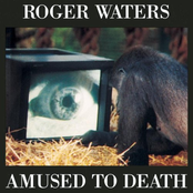 Too Much Rope by Roger Waters