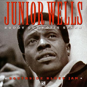 I Wish I Knew What I Know Now by Junior Wells