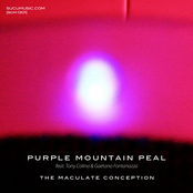 The Maculate Conception