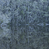Earth of the Slumbering and Liquid Trees