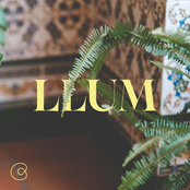 Llum