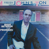 Freedy Johnston: Right Between the Promises