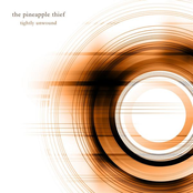 February 13th by The Pineapple Thief