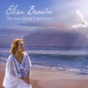 The Ave Maria Experience