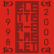 Élettér-elmélet