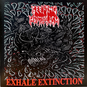 Exhale Extinction