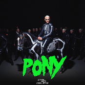 Pony