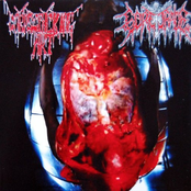 Split Album