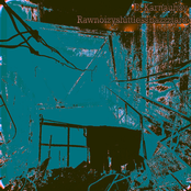 D. Karnauhov / Rawnoizyshittlessbazzztard