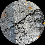 MOA1205 - Grainophonics