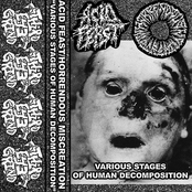 Acid Feast / Horrendous Miscreation