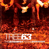 King by Tree63