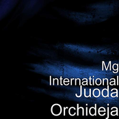 MG INTERNATIONAL - JUODA ORCHIDEJA
