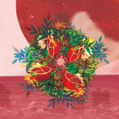 Capital Disease 서울병