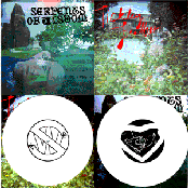 Tickley Feather / Serpants of Wisdom Split 7"