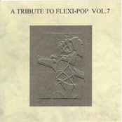 A Tribute To Flexi-Pop Vol.7