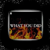 What You Did