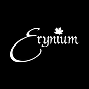 Erynium