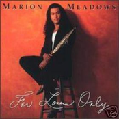 I Found A New Love by Marion Meadows