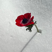 Where I Go When I Leave You