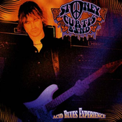 Acid Blues Experience