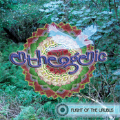 Vervain by Entheogenic