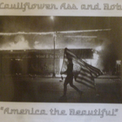 America the Beautiful