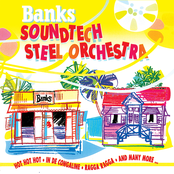 Banks Soundtech Steel Orchestra