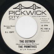 The Ostrich / Sneaky Pete
